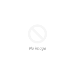 Enterprise-wide empowering success